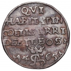 Zygmunt II August, Trojak szyderczy 1565, Tykocin - LIT