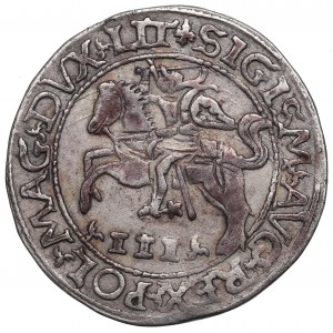 Sigismund II Augustus, Spöttischer Trojak 1565, Tykocin - LIT