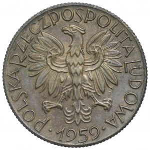 République populaire de Pologne, 5 zlotys 1959 Pêcheur - Rare échantillon en laiton