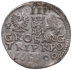 Sigismond III Vasa, Trojak 1600, Poznań - P à côté de l'aigle