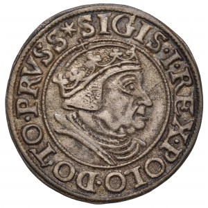 Zikmund I. Starý, Grosz 1538, Gdaňsk