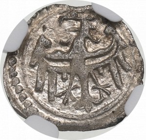 Silesia, Principality of Legnicko-Brzeskie, halerz Legnica - NGC MS62