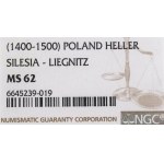 Slesia, Principato di Legnicko-Brzeskie, halerz Legnica - NGC MS62