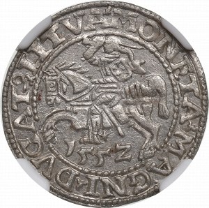 Sigismondo II Augusto, mezzo penny 1552, Vilnius - LI/LITVA NGC MS62