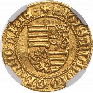 Hungary, Sigismund, Goldgulden - NGC AU58