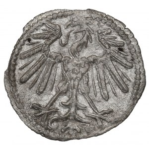 Sigismund II Augustus, 1-denar 1547, Vilnius