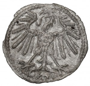 Sigismund II Augustus, 1-denar 1547, Vilnius