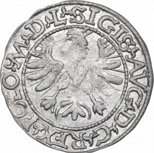 Sigismund II Augustus, halber Pfennig 1566, Tykocin, Jastrzębiec - RARE