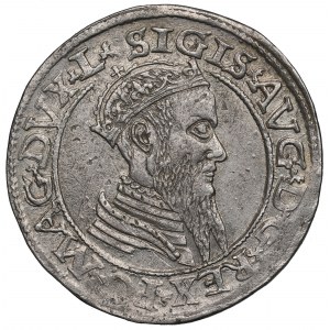Sigismund II Augustus, Viereck 1565, Vilnius, L/LITV - SCHÖN