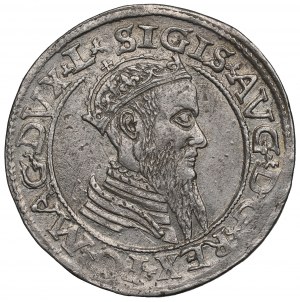 Sigismund II Augustus, 4 groschen 1568, Vilnius - LI/LITVA NGC MS62