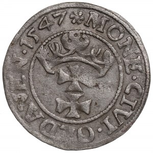 Zikmund I. Starý, Šelag 1547, Gdaňsk