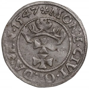 Sigismund I. der Alte, Shelag 1547, Danzig