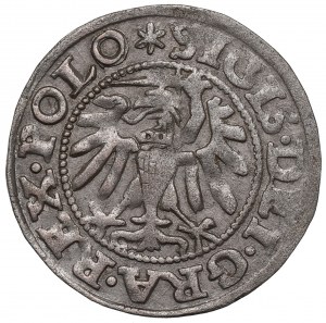 Žigmund I. Starý, Shelag 1547, Gdansk