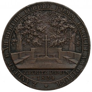 Pomorze, Pyrzyce, Medal 700-lecia chrześcijaństwa - jednostronna odbitka