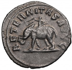 Empire romain, Philippe Ier l'Arabe, Antonin - AETERNITAS AVGG