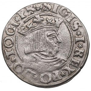 Sigismondo I il Vecchio, Grosz 1533, Danzica