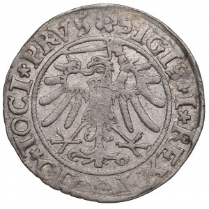 Žigmund I. Starý, Grosz 1534, Elbląg