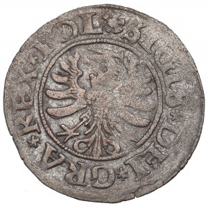 Sigismondo I il Vecchio, Shelly 1530, Danzica - raro