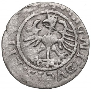 Sigismund I. der Alte, Halbpfennig 1524, Wilna - Rückseite 4