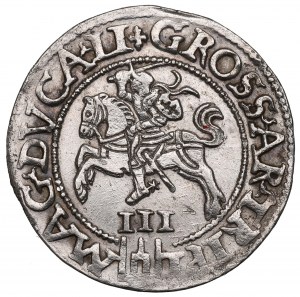 Sigismund II Augustus, Trojak 1562, Vilnius - breite Scheibe L/LI