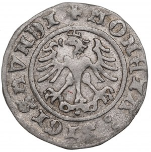 Sigismund I. der Alte, Halbpfennig 1510, Krakau