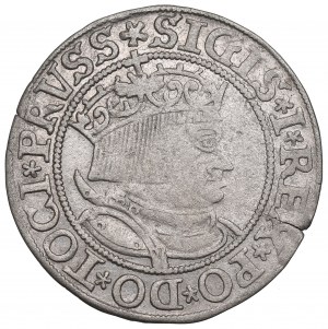 Sigismondo I il Vecchio, penny per le terre prussiane 1533, Toruń - PRVSS/PRVSSIE