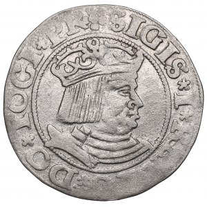 Sigismondo I il Vecchio, Grosz 1531, Danzica