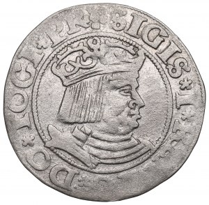 Sigismondo I il Vecchio, Grosz 1531, Danzica
