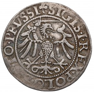 Sigismund I The Old, Groschen 1540, Elbing