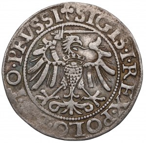 Sigismund I The Old, Groschen 1540, Elbing