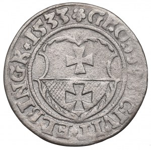 Zikmund I. Starý, Grosz 1533, Elbląg