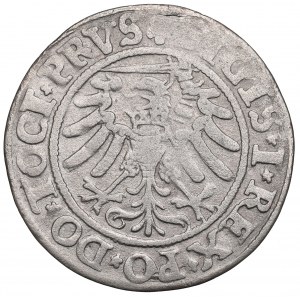 Zikmund I. Starý, Grosz 1533, Elbląg