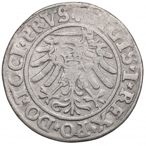 Žigmund I. Starý, Grosz 1533, Elbląg