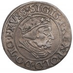 Zygmunt I Stary, Grosz 1538, Gdańsk