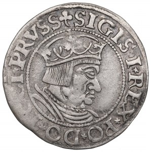 Zygmunt I Stary, Grosz 1535, Gdańsk - RZADKOŚĆ