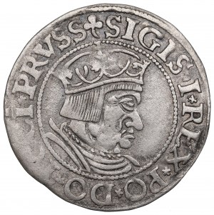 Sigismond Ier le Vieux, Grosz 1535, Gdańsk - RARE