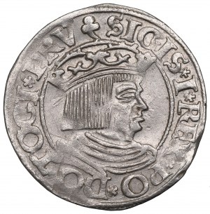 Zikmund I. Starý, Grosz 1535, Gdaňsk