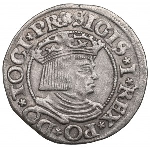 Sigismund I the Old, Penny 1534 Gdansk