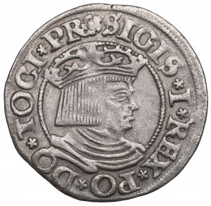 Sigismund I the Old, Penny 1534 Gdansk