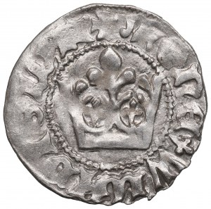 Vladislaus II Jagello, Halfgroat without date, Cracow - NGC MS62