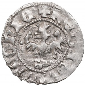 Vladislaus II Jagello, Halfgroat without date, Cracow - NGC MS62