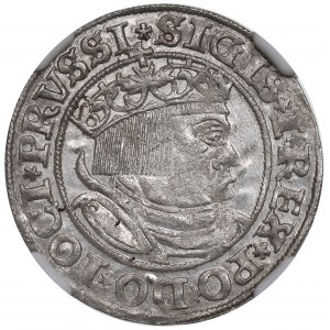 Sigismondo I il Vecchio, penny per le terre prussiane 1532, Torun - NGC MS64