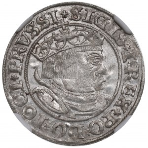 Sigismund I the Old, Groschen for Prussia 1529, Thorn - NGC MS61