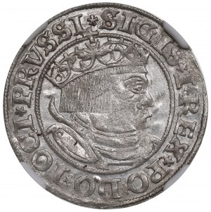 Zikmund I. Starý, groš za pruské země 1532, Toruň - NGC MS64