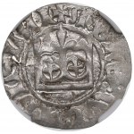 Vladislaus II, halfgroat - NGC MS62