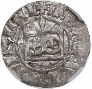 Vladislaus II, halfgroat - NGC MS62