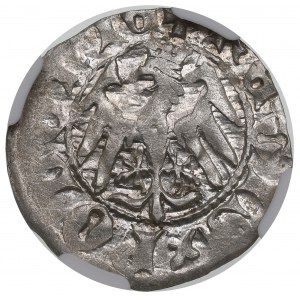 Ladislao II Jagiello, mezzo penny senza data, Cracovia - coniato