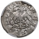 Vladislaus II, halfgroat - NGC MS62