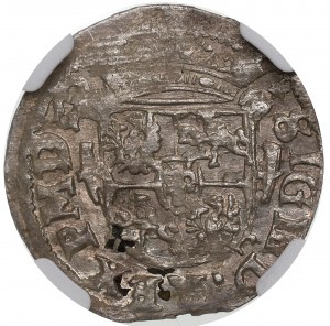 Zikmund III Vasa, polopás 1619, Vilnius, PMD / MAG DVL - RARE