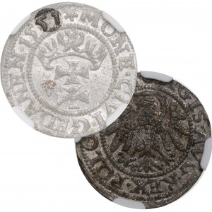 Zikmund II August, Shelburst 1551, Gdaňsk - RARE